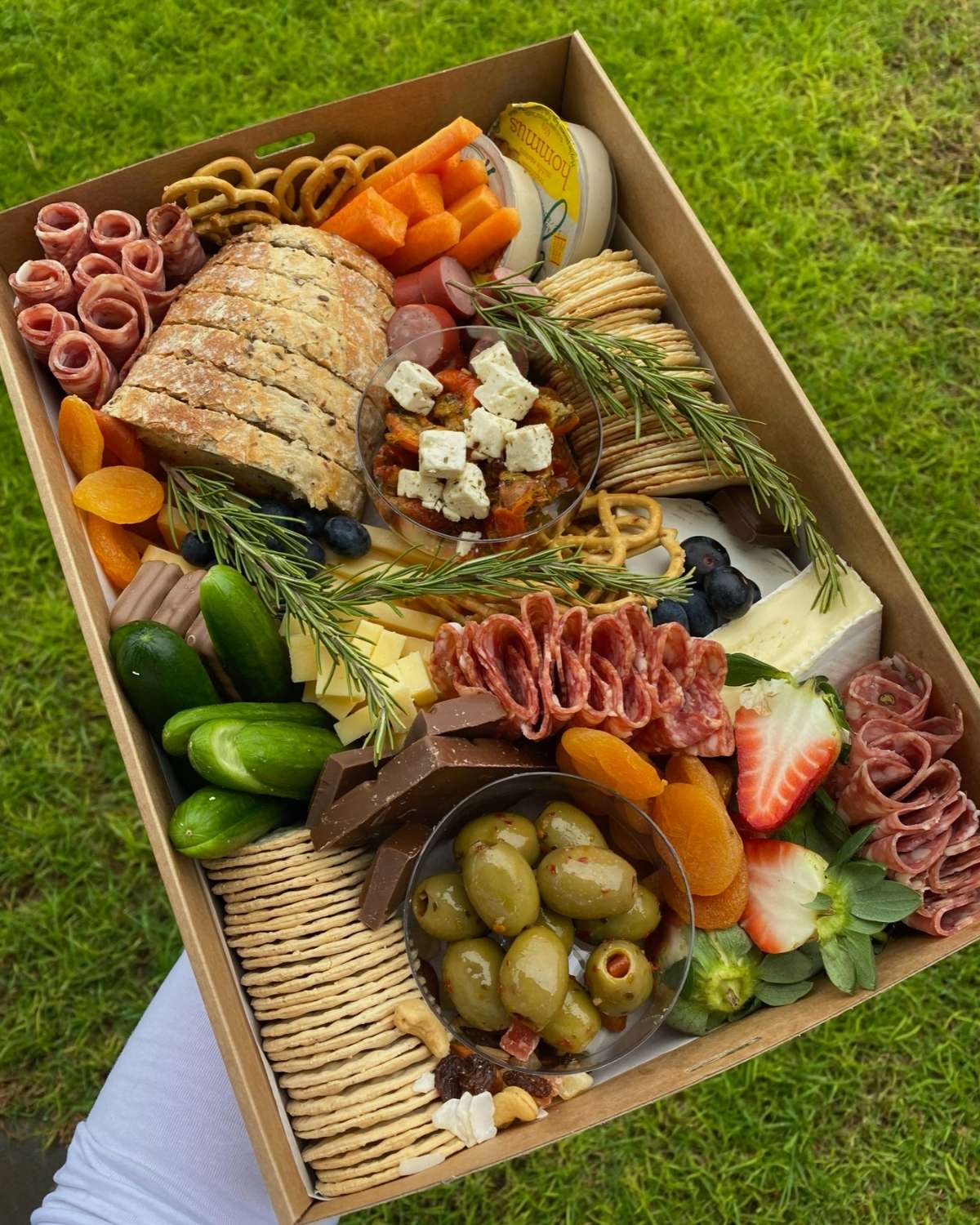 Medium Grazers
