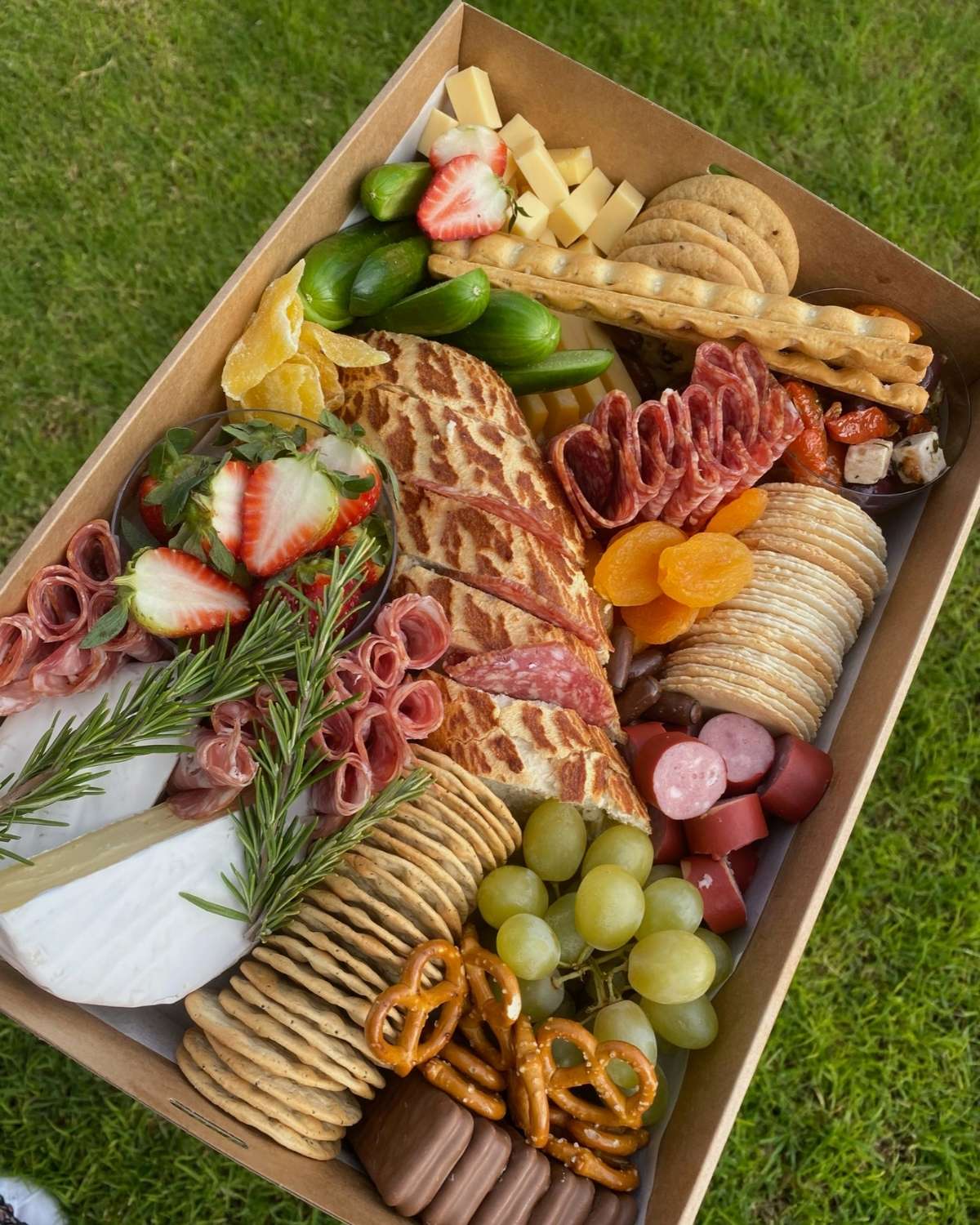 Medium Grazers