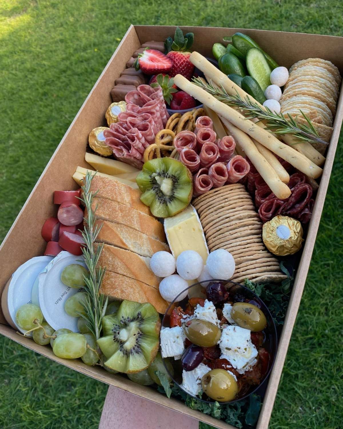 Medium Grazers