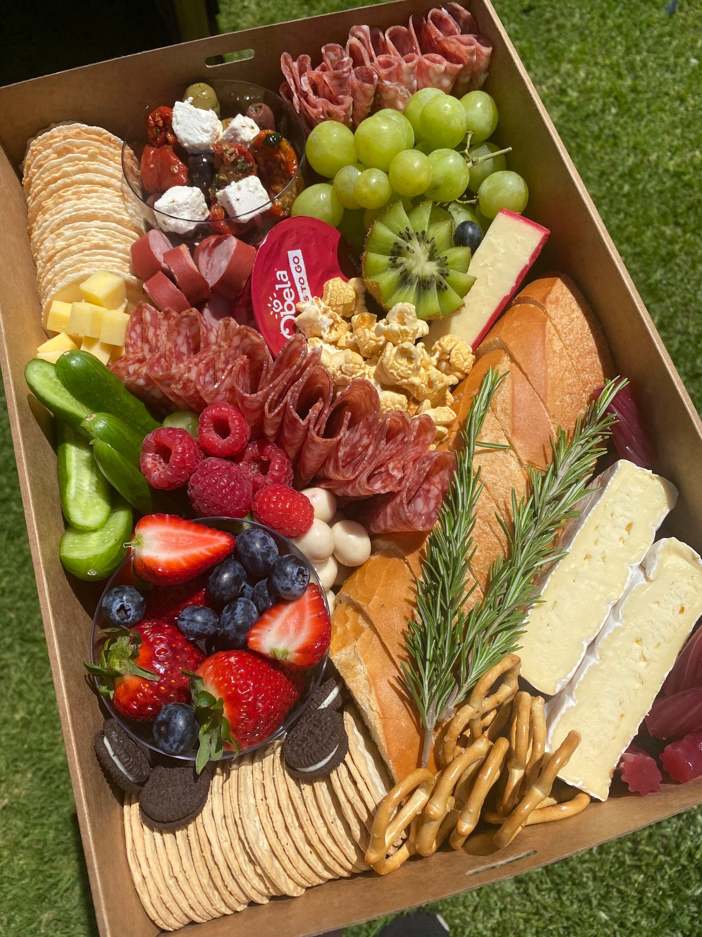 Medium Grazers